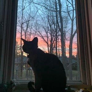 Meet your Posher, Beth